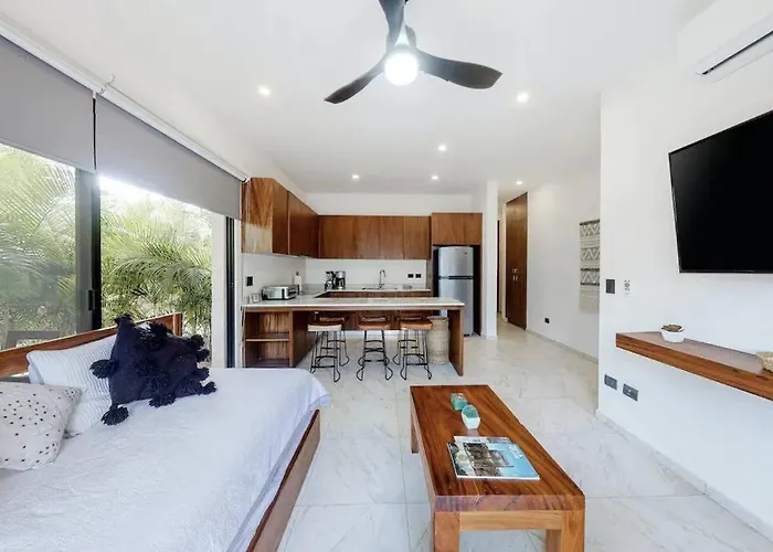 Contemporary Poolside Condo, Wi-fi - Paraiso Kaanal 101
